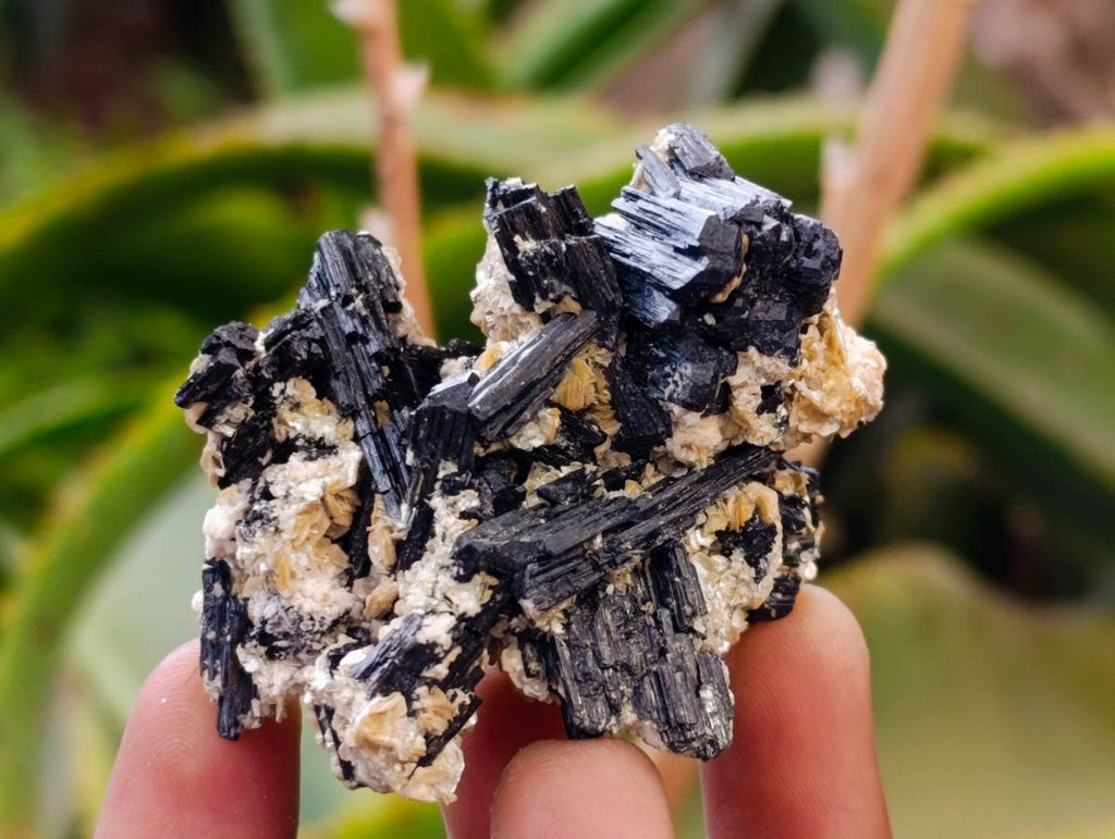 Natural Schorl Black Tourmaline Specimens x 35 From Erongo, Namibia - Toprock Gemstones and Minerals 