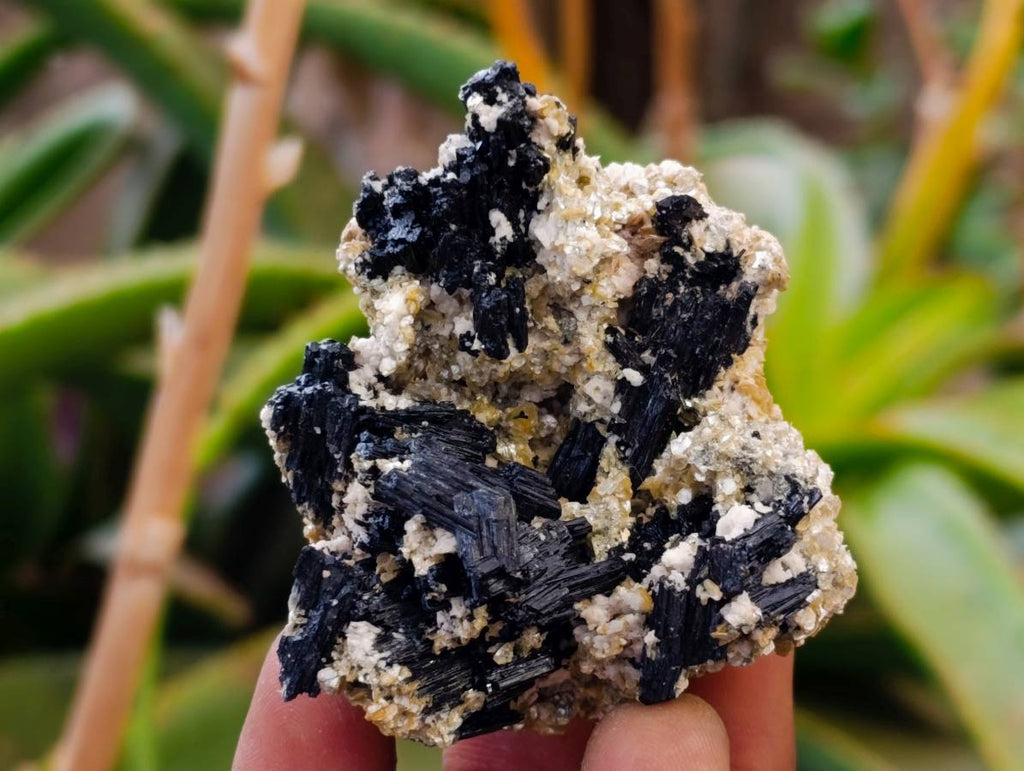 Natural Schorl Black Tourmaline Specimens x 35 From Erongo, Namibia - Toprock Gemstones and Minerals 