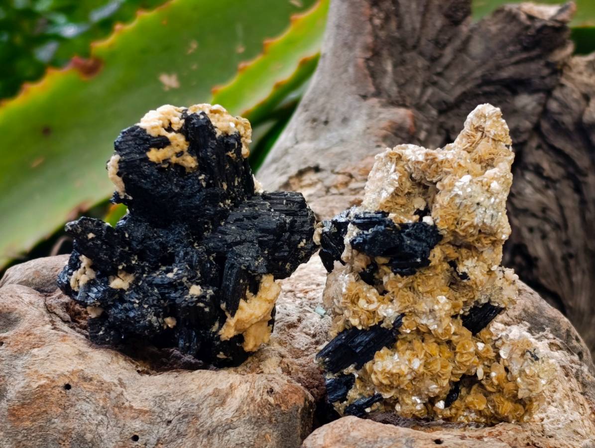 Natural Schorl Black Tourmaline Specimens x 35 From Erongo, Namibia - Toprock Gemstones and Minerals 