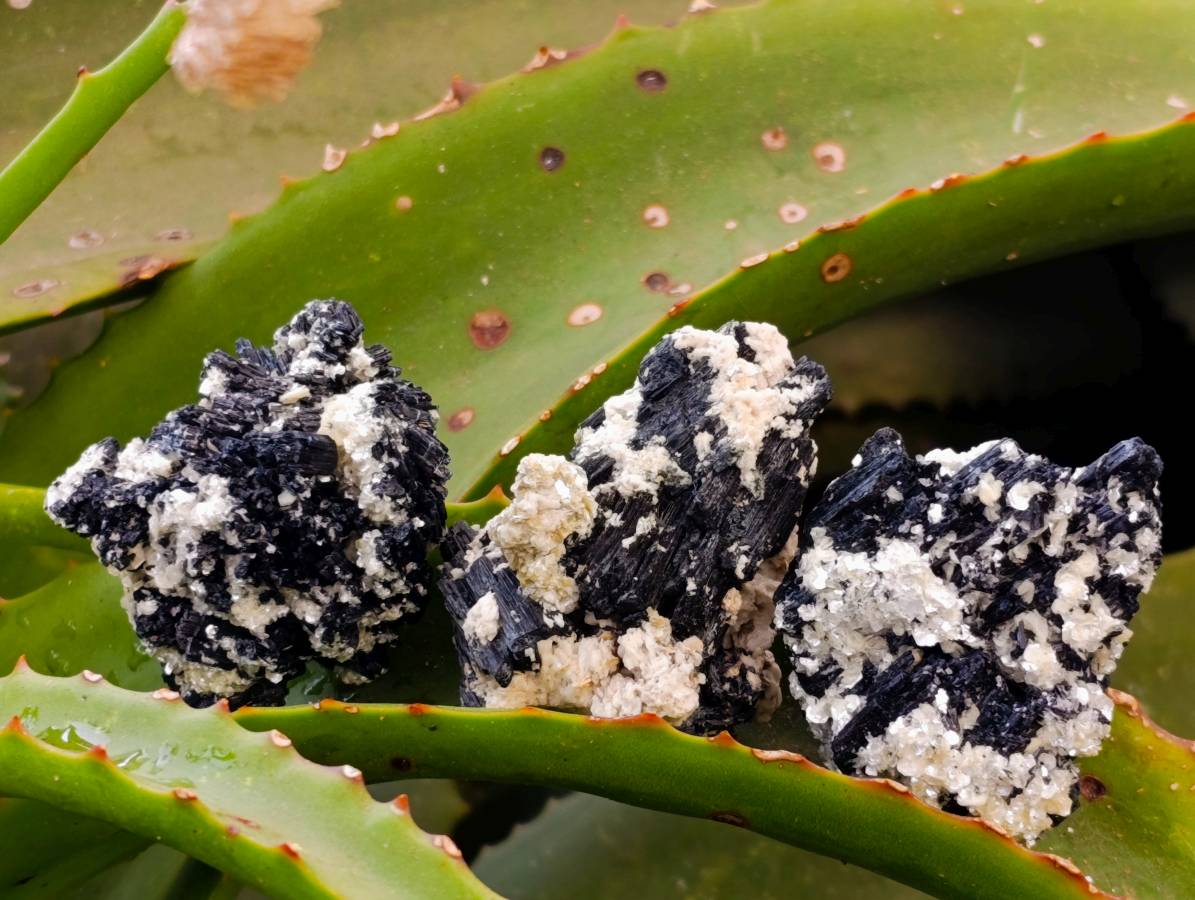 Natural Schorl Black Tourmaline Specimens x 35 From Erongo, Namibia - Toprock Gemstones and Minerals 