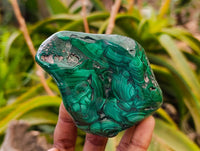 Polished Flower Banded Malachite Free Forms x 4 From Congo