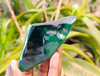 Polished Flower Banded Malachite Free Forms x 4 From Congo