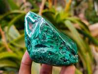 Polished Flower Banded Malachite Free Forms x 4 From Congo