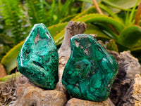Polished Flower Banded Malachite Free Forms x 4 From Congo
