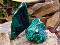 Polished Flower Banded Malachite Free Forms x 4 From Congo