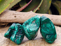 Polished Flower Banded Malachite Free Forms x 4 From Congo