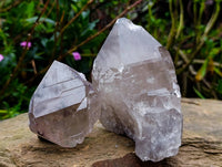 Natural Smokey Quartz Crystals x 6 From Mulanje , Malawi