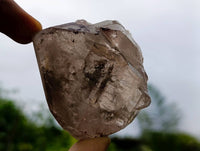 Natural Smokey Quartz Crystals x 6 From Mulanje , Malawi