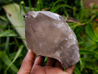 Natural Smokey Quartz Crystals x 6 From Mulanje , Malawi