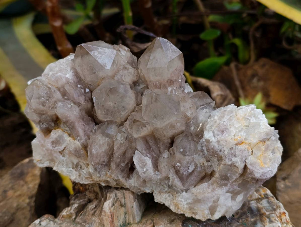 Natural Smokey Phantom Quartz Clusters x 2 From Luena, Congo - Toprock Gemstones and Minerals 
