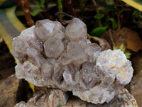 Natural Smokey Phantom Quartz Clusters x 2 From Luena, Congo