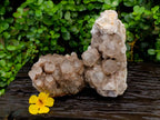 Natural Smokey Phantom Quartz Clusters x 2 From Luena, Congo - Toprock Gemstones and Minerals 