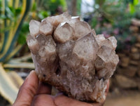 Natural Smokey Phantom Quartz Clusters x 2 From Luena, Congo
