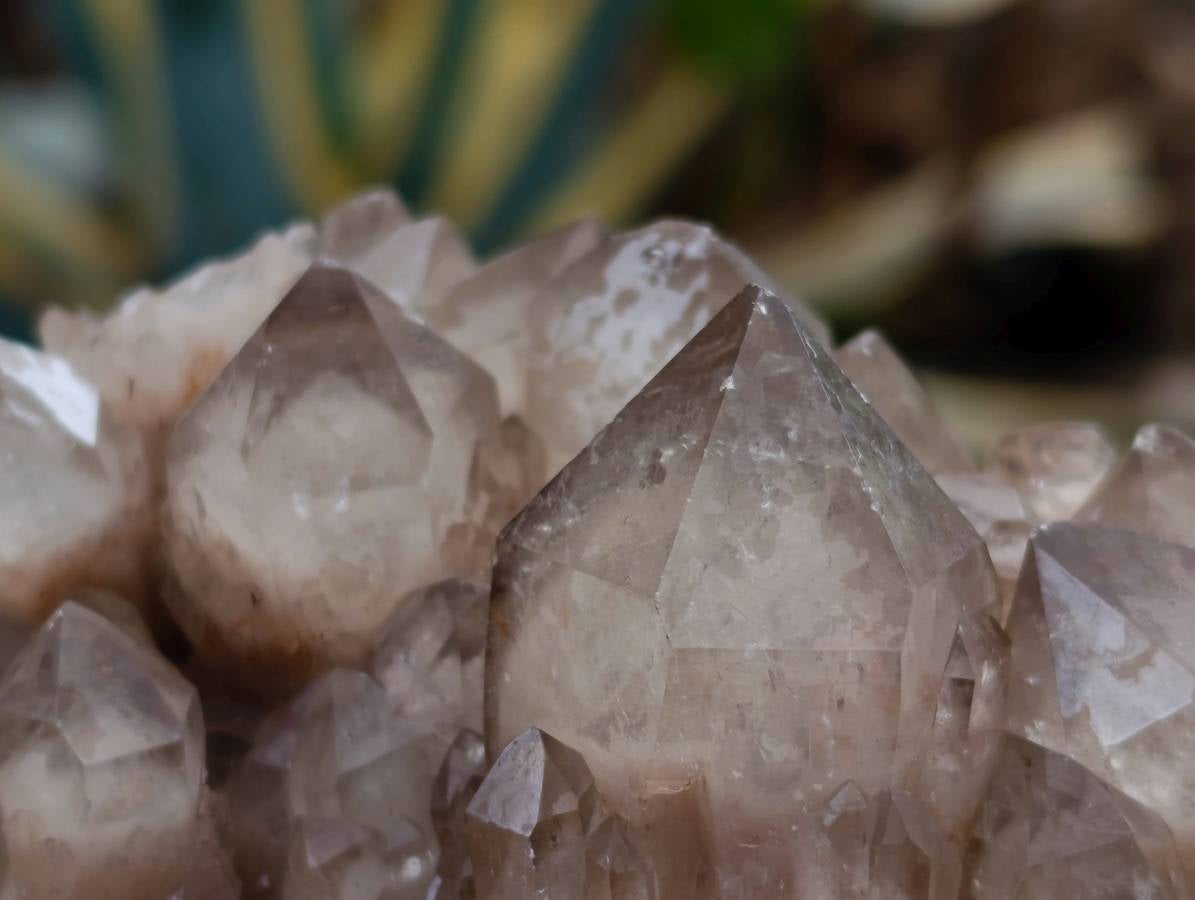 Natural Smokey Phantom Quartz Clusters x 2 From Luena, Congo - Toprock Gemstones and Minerals 