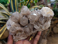 Natural Smokey Phantom Quartz Clusters x 2 From Luena, Congo