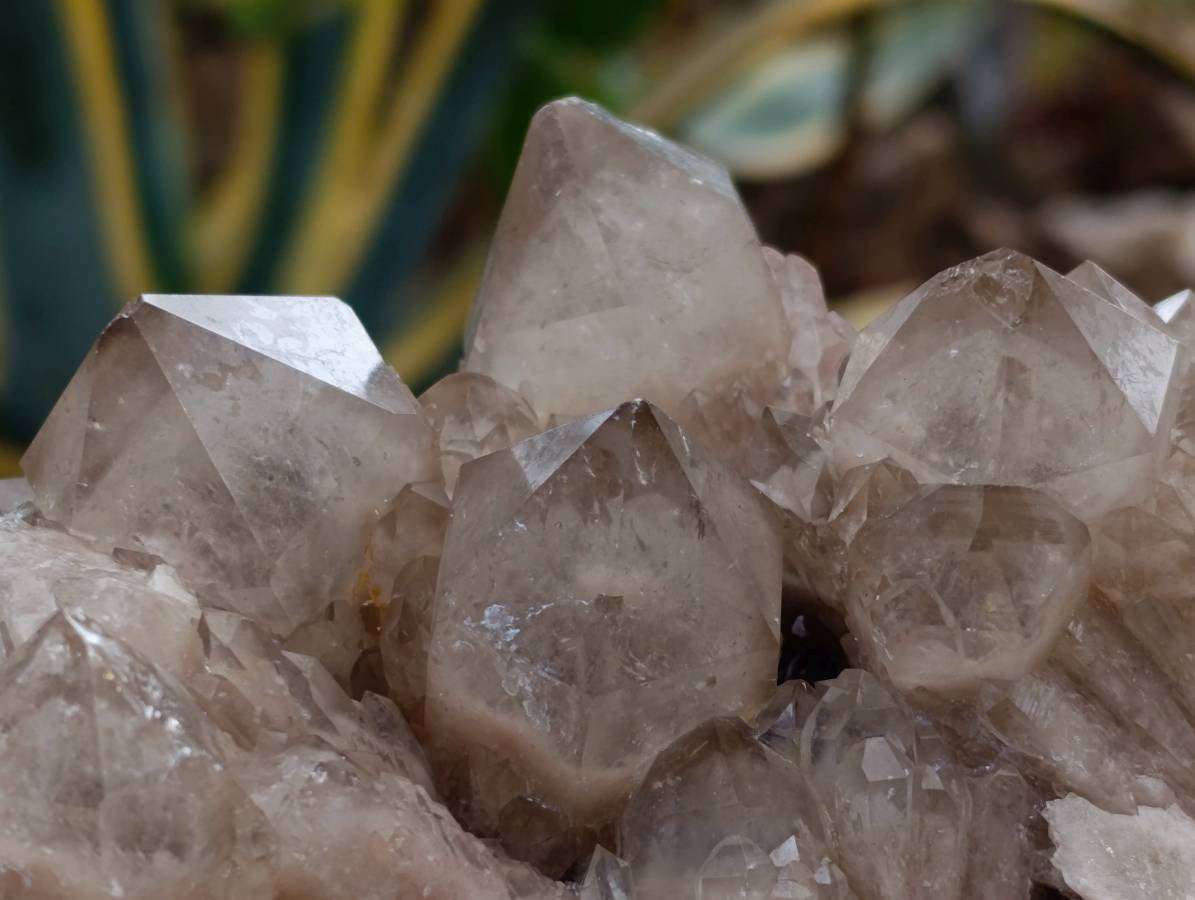 Natural Smokey Phantom Quartz Clusters x 2 From Luena, Congo - Toprock Gemstones and Minerals 