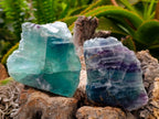 Polished On One Side Watermelon Fluorite x 6 From Uis, Namibia - Toprock Gemstones and Minerals 