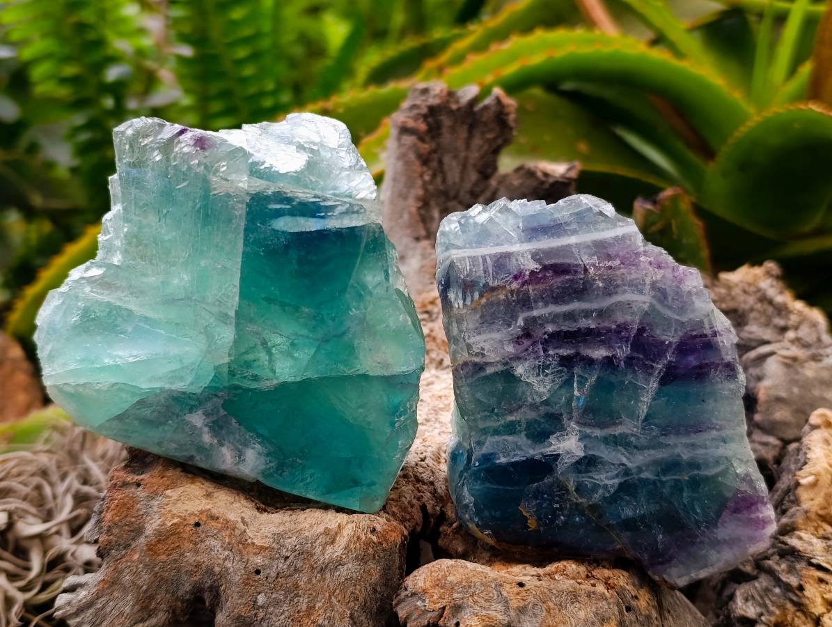 Polished On One Side Watermelon Fluorite x 6 From Uis, Namibia - Toprock Gemstones and Minerals 