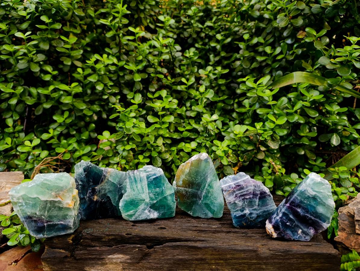 Polished On One Side Watermelon Fluorite x 6 From Uis, Namibia - Toprock Gemstones and Minerals 