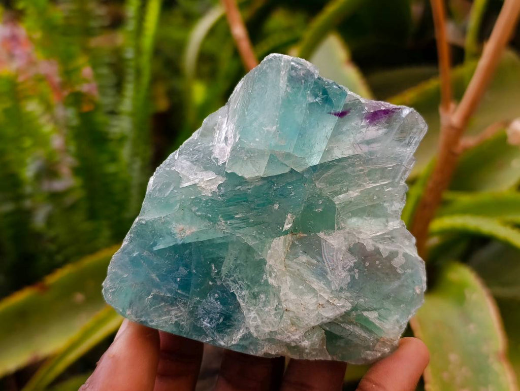 Polished On One Side Watermelon Fluorite x 6 From Uis, Namibia - Toprock Gemstones and Minerals 