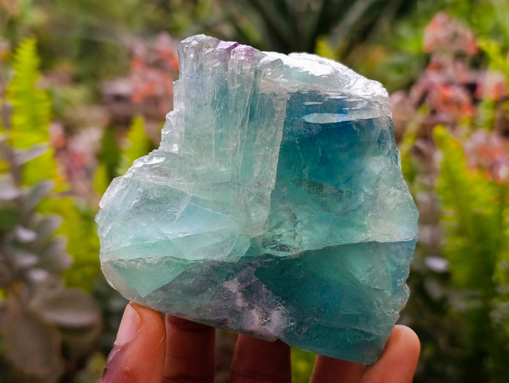 Polished On One Side Watermelon Fluorite x 6 From Uis, Namibia - Toprock Gemstones and Minerals 