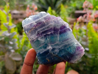 Polished On One Side Watermelon Fluorite x 6 From Uis, Namibia