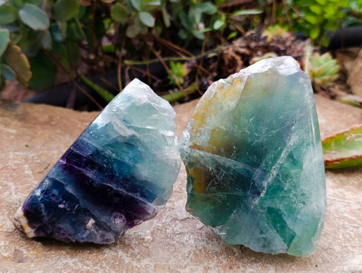 Polished On One Side Watermelon Fluorite x 6 From Uis, Namibia - Toprock Gemstones and Minerals 