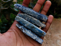 Natural Kyanite Crystals x 1.9 Kg Lot From Karoi, Zimbabwe