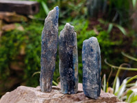 Natural Kyanite Crystals x 1.9 Kg Lot From Karoi, Zimbabwe
