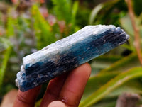 Natural Kyanite Crystals x 1.9 Kg Lot From Karoi, Zimbabwe