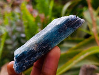 Natural Kyanite Crystals x 1.9 Kg Lot From Karoi, Zimbabwe