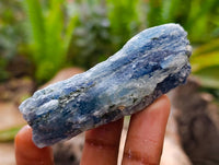 Natural Kyanite Crystals x 1.9 Kg Lot From Karoi, Zimbabwe