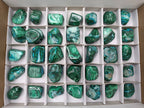 Polished Malacolla Free Forms x 35 From Kulukuluku Mine, Congo - Toprock Gemstones and Minerals 