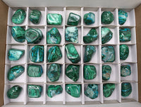 Polished Malacolla Free Forms x 35 From Kalukundi Mine, Congo