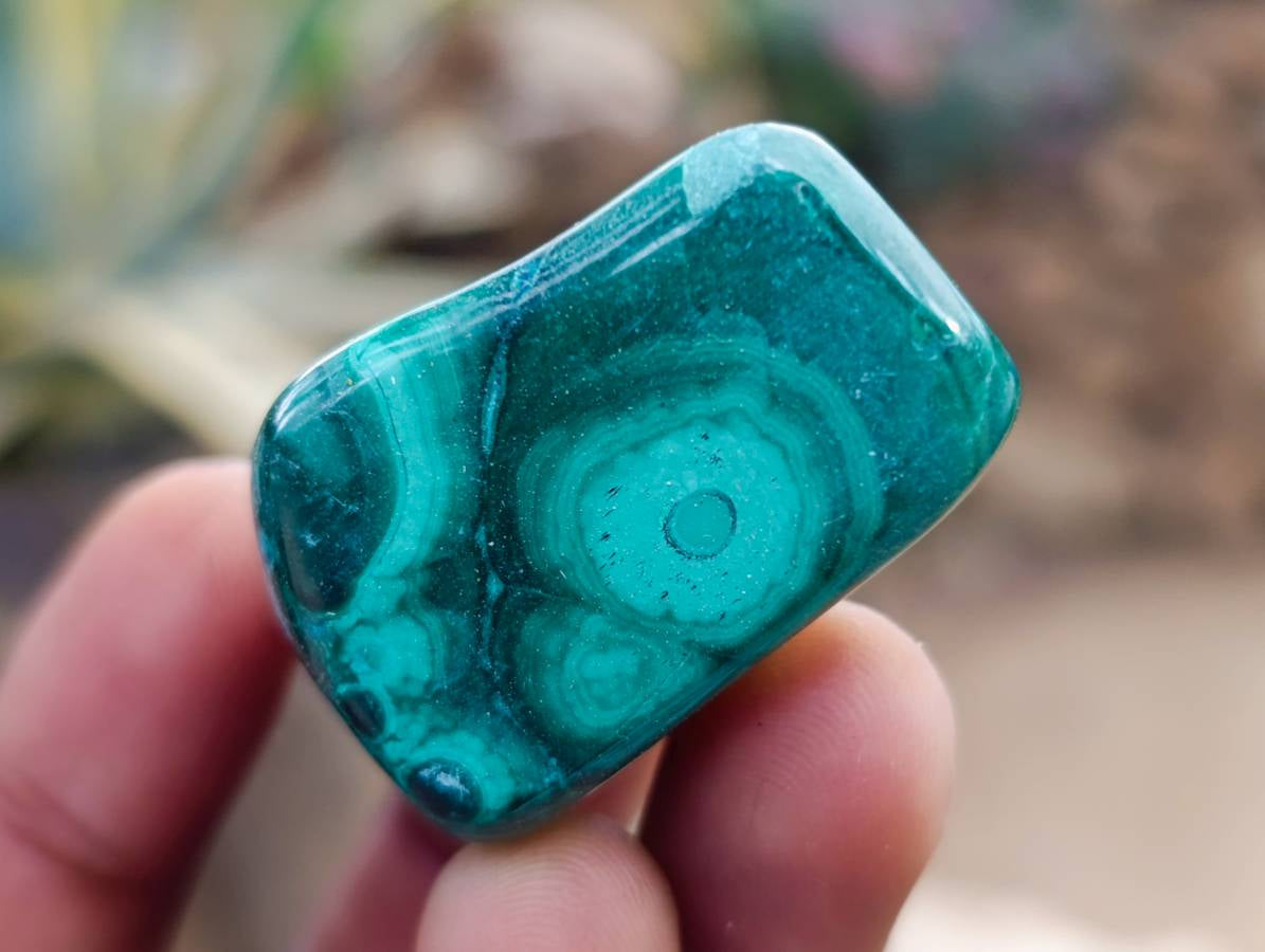 Polished Malacolla Free Forms x 35 From Kulukuluku Mine, Congo - Toprock Gemstones and Minerals 