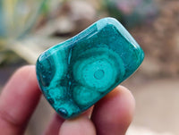 Polished Malacolla Free Forms x 35 From Kalukundi Mine, Congo