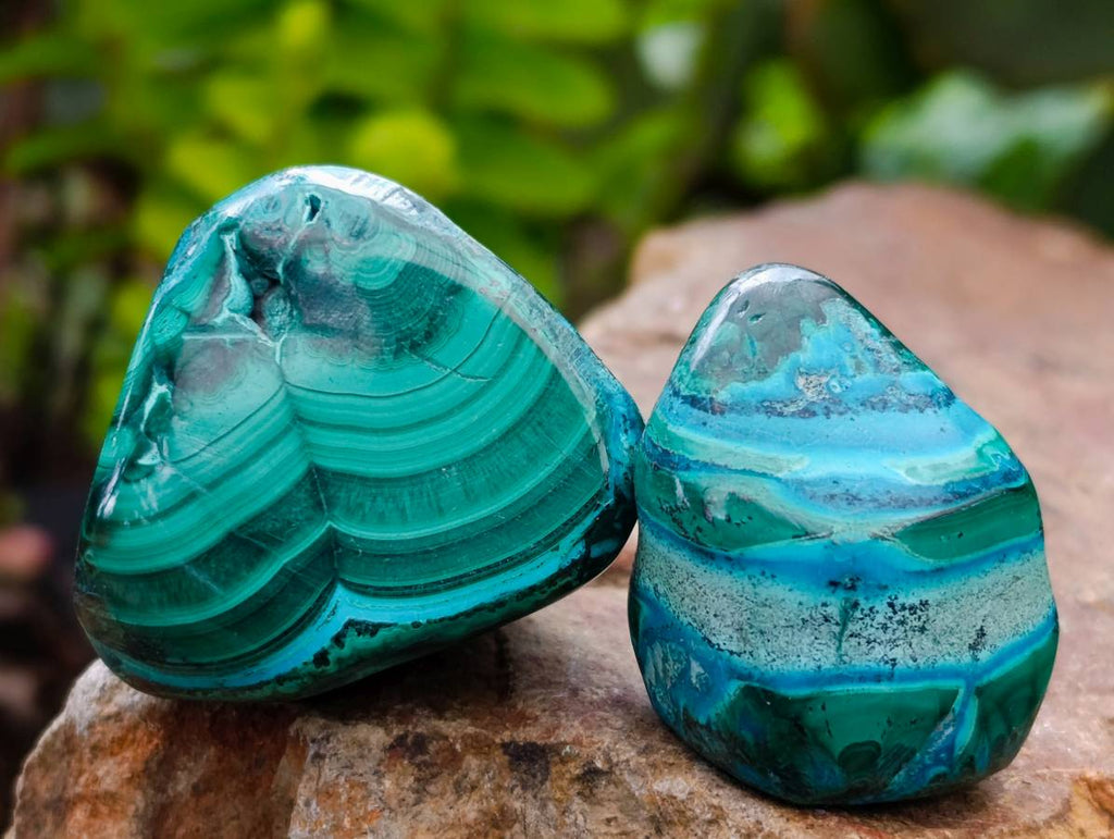 Polished Malacolla Free Forms x 35 From Kulukuluku Mine, Congo - Toprock Gemstones and Minerals 