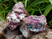 Natural Large Salrose Cobaltion Dolomite with Malachite Spheroids  x 2 From Kakanda, Congo