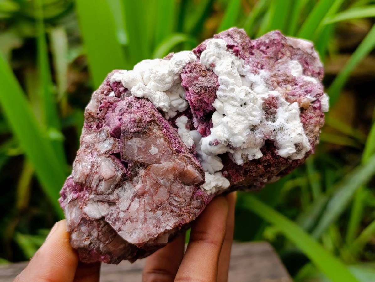 Natural Large Salrose Cobaltion Dolomite with Malachite Spheroids  x 2 From Kakanda, Congo - Toprock Gemstones and Minerals 