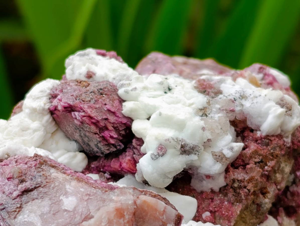 Natural Large Salrose Cobaltion Dolomite with Malachite Spheroids  x 2 From Kakanda, Congo - Toprock Gemstones and Minerals 