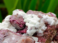 Natural Large Salrose Cobaltion Dolomite with Malachite Spheroids  x 2 From Kakanda, Congo