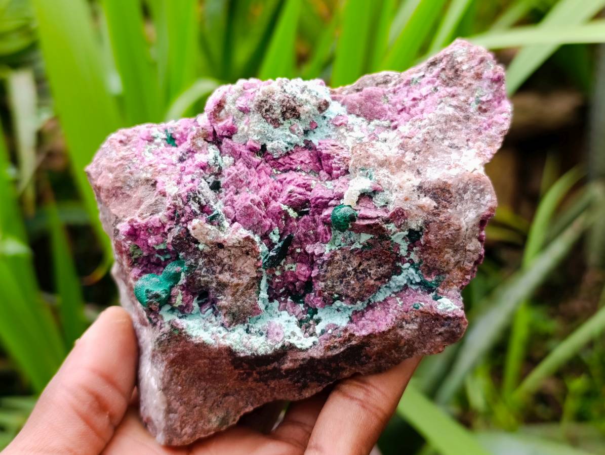 Natural Large Salrose Cobaltion Dolomite with Malachite Spheroids  x 2 From Kakanda, Congo - Toprock Gemstones and Minerals 