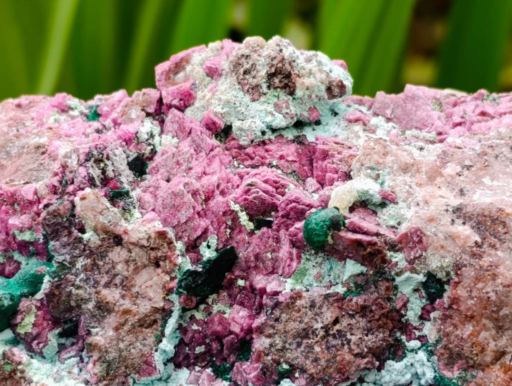 Natural Large Salrose Cobaltion Dolomite with Malachite Spheroids  x 2 From Kakanda, Congo - Toprock Gemstones and Minerals 