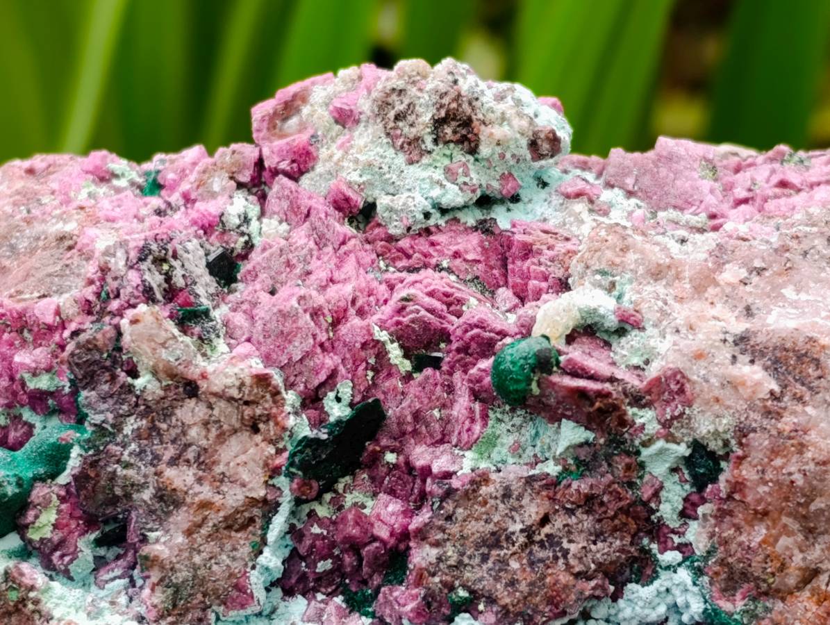 Natural Large Salrose Cobaltion Dolomite with Malachite Spheroids  x 2 From Kakanda, Congo - Toprock Gemstones and Minerals 