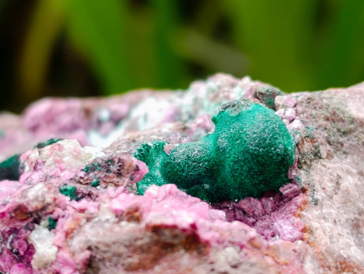 Natural Large Salrose Cobaltion Dolomite with Malachite Spheroids  x 2 From Kakanda, Congo - Toprock Gemstones and Minerals 