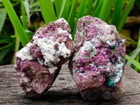 Natural Large Salrose Cobaltion Dolomite with Malachite Spheroids  x 2 From Kakanda, Congo