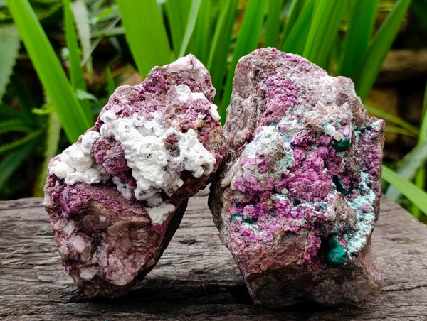 Natural Large Salrose Cobaltion Dolomite with Malachite Spheroids  x 2 From Kakanda, Congo