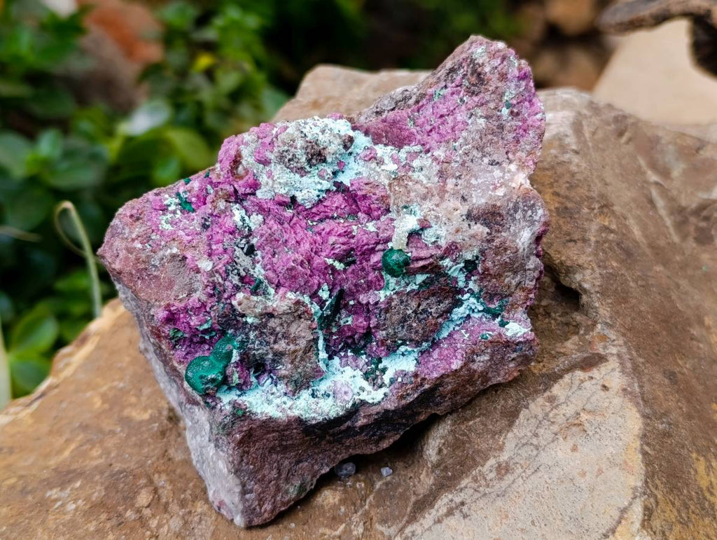 Natural Large Salrose Cobaltion Dolomite with Malachite Spheroids  x 2 From Kakanda, Congo - Toprock Gemstones and Minerals 