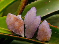 Natural Amethyst Spirit Quartz Crystals x 35 From Boekenhouthoek, South Africa