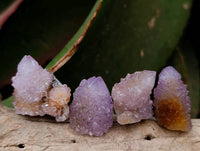 Natural Amethyst Spirit Quartz Crystals x 35 From Boekenhouthoek, South Africa